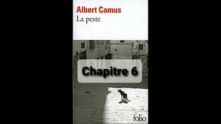 6  La peste de Camus  Chapitre 6  livre audio [upl. by Nylekcaj]