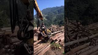 Logging Machine Cutting Wood Process  Unique tools to boost efficiency and streamline work [upl. by Eibber]