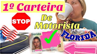 CARTEIRA DE MOTORISTA NA FLÓRIDA drive’s licence [upl. by Glavin245]