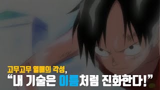 고무고무 열매의 각성 quot내 기술은 이름처럼 진화한다quot원피스 분석 [upl. by Iot]