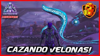 Cómo hacer la mision del velona en Genesis 2  Velonasaur Stalk  ARK sin MODS [upl. by Eugene445]