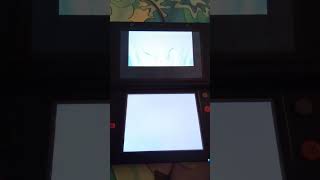 Pokeradar Pokemon Platinum Buneary Chain Of 8 Fail Pokedex 427 Noosa North Shore 4WD [upl. by Wilde]