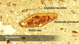 Hornblende vs Biotite under PPL and XPL [upl. by Aicinoid466]