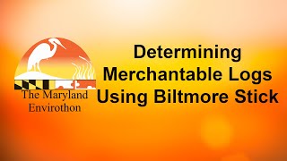 Determining Merchantable Logs Using a Biltmore Stick [upl. by Iggem141]