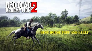 Get the Missouri Fox Trotter Early in CHAPTER 2 Red Dead Redemption 2 [upl. by Rese604]