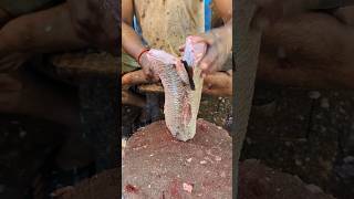 Increadible Giant Koral Fish Cutting By Expert Fish Cutter  Part2 shorts [upl. by Amye]