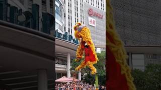 LION DANCE CENTRAL PARK MALL JAKARTA shorts short [upl. by Assirol]