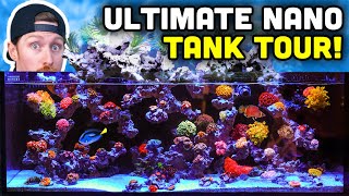 INCREDIBLE Desktop Nano Tank Tour with UNIQUE Aquascape [upl. by Bernita548]