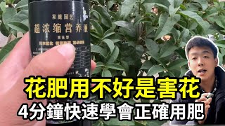 植物这个时候用肥料是害它！如何正确选择施肥时机，4分钟带你掌握【禅艺绿植工作室】 [upl. by Gert133]