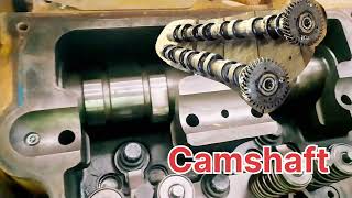 How Camshafts Change Your Engines Personality [upl. by Marelda]