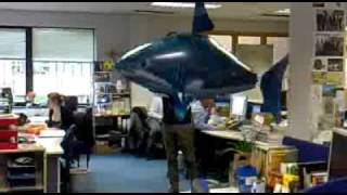 Flying Shark Balloon [upl. by Camm]