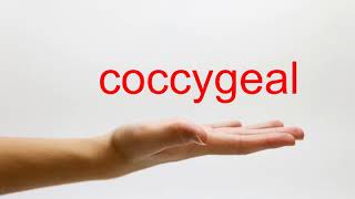 How to Pronounce coccygeal  American English [upl. by Wettam]