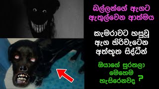 කැමරාවට හසුවූ හොල්මන් Part 20 Paranormal Activity kazzai holmanscience  Education [upl. by Dnomar]