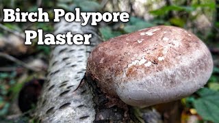 Birch polypore plaster [upl. by Castora384]