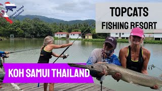 Koh Samui Fishing  TopCats Fishing Resort  Ripsaw Catfish  Giant Featherback  Alligator Gar [upl. by Hulen43]