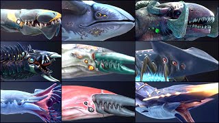 ALL LEVIATHAN amp DEADLY CREATURE IN SUBNAUTICA BELOW ZERO [upl. by Marijn]