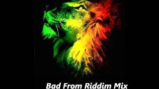 Bad From Riddim Mix April 2013 Megamix One Riddim Riddim Mix Roots Reggae [upl. by Melisenda]