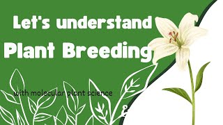 What Is Plant Breeding [upl. by Ulysses]