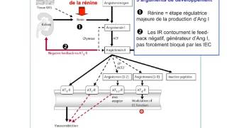 pharmacologie du systeme renine angiotensine aldosterone partie 6 [upl. by Colson]