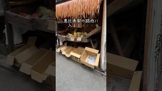 全て100円⁉️恵比寿駅の路地に無人野菜販売所みーつけた🥦🥕恵比寿恵比寿駅 野菜路地裏 無人販売所 ラーキム [upl. by Rap169]