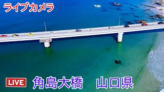 ライブカメラ 角島大橋 山口県 Live camera Tsunoshima Ohashi Yamaguchi Prefecture [upl. by Ylsew]