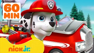 PAW Patrol Rescue Wheels Adventures w Marshall 🚗 1 Hour  Nick Jr [upl. by Una]