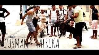 Ousman  Tafrika Official Video [upl. by Nnawtna448]