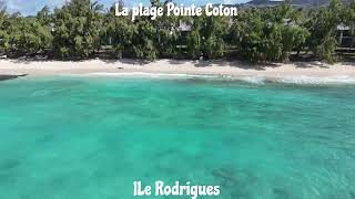 Découvrez la magnifique plage de Pointe Coton lîle Rodrigues sea beach nature shorts [upl. by Tillie]