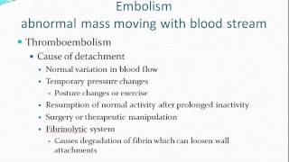 Hemodynamic Disorders [upl. by Horvitz897]