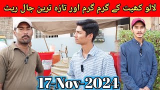 Sunday Lalukhet Market  Jaal Rate Update 17Nov2024  Birds New Rate In Karachi  Birds [upl. by Atnoved]