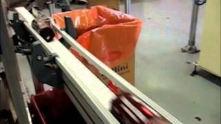 FlexLink conveyor system  PRL Tecnosoft [upl. by Lothar]