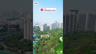 Indias Most Expensive Society Flats  DLF Camellias amp DLF Magnolias Gurgoan [upl. by Onitnerolf]