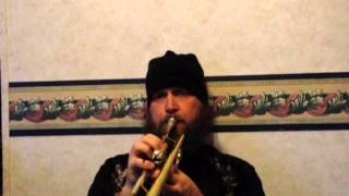 The Waltons Theme song on Trumpet [upl. by Vikky]