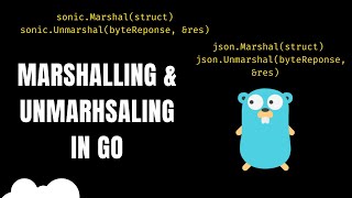 Go Efficient Marshalling amp Unmarshalling  SONIC  JSON [upl. by Bremser]