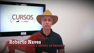 CURSO PROVA FUNCIONAL MARCHADOR IDEAL  ROBERTO NAVES  NET SABER [upl. by Kerrin]