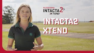 INTACTA2 XTEND®️ [upl. by Adnanref]