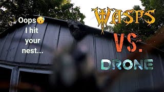 I HIT A WASPS NEST WITH MY DRONE RUN [upl. by Ardin899]