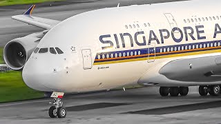 40 MINS of Plane Watching at Singapore Changi Airport 🇸🇬 [upl. by Indyc]