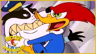 Woody Woodpecker Show  Hide and Seek  Full Episode  Videos For Kids [upl. by Ogeid]