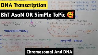 Transcription  From DNA To RNA  Gene Expression [upl. by Nwahsyt]