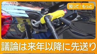 ガソリン減税、結論1年先送り “マルバツ審議”は廊下で聞き耳 国民民主は？【知ってもっと】【グッド！モーニング】2024年12月3日 [upl. by Ahsinak]