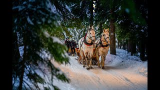 Kulig Zakopane z pochodniami kapelą góralską menu bez limitu  oferta 20232024 od OtoTatrypl [upl. by Morley]