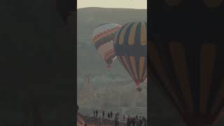 youtubeshortsballoonfestival2024 [upl. by Ydne]