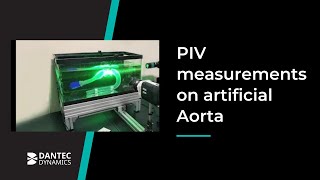 PIV measurements on artificial Aorta [upl. by Neilla]