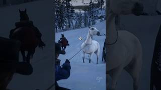 CAVALO BRANCO RARO NO RED DEAD REDEMPTION 2 reddeadredemption reddeadredemtion2 rdr2 shorts [upl. by Krusche]