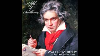 Walter Murphy  A Fifth of Beethoven Flight Facilities Edit [upl. by Neil281]