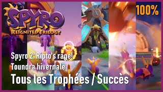 Spyro 2 Riptos rage  Toundra hivernale  Tous les Trophées  Succès [upl. by Yurik]