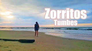 Tumbes Zorritos una de las mejores playas del Perú 4K  Gigi Aventuras [upl. by Siul]