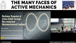 Nonlinear dynamics of active solids through nonreciprocal mechanochemical ▸ Xiaoming Mao UMich [upl. by Rimhsak]