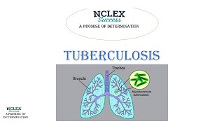 tuberculosis  NCLEX Success [upl. by Euginomod232]